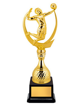 Приз тематический «Волейбол» - PS1786